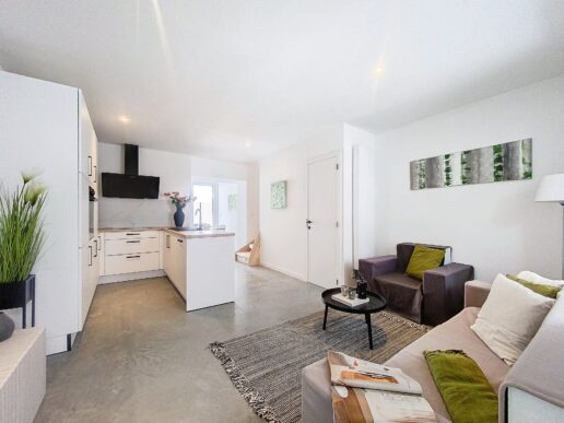 Geraardsbergen_HomeStyling (17)