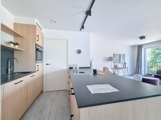 Inrichten_Modelappartement_Sint-Gillis-Waas (3)