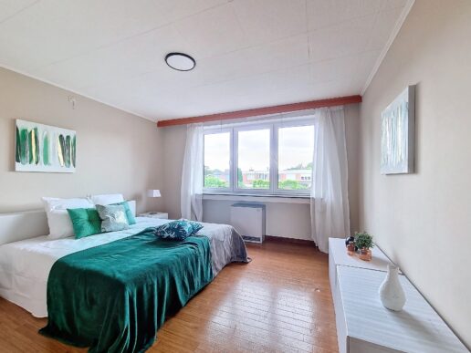 Genk_Vastgoedstyling (13)