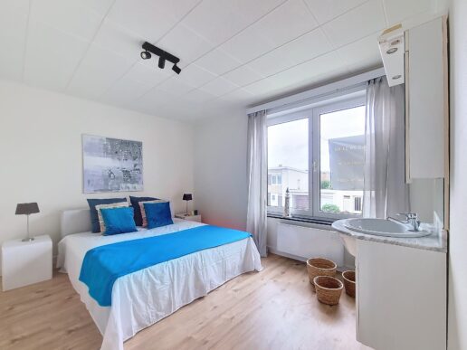 Wenduine_HomeStaging (9)