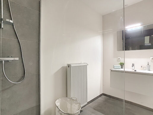 Kruishoutem – René D’Huyvetterstraat 23