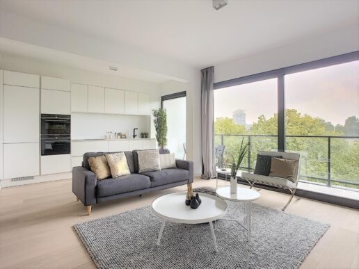 Antwerpen – Desguinlei 224 3deV
