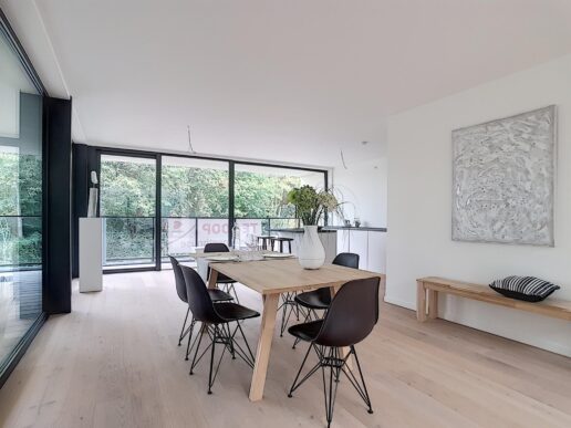 Olsene – Kerkstraat 44 loft