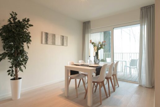 Antwerpen – Project Leopold