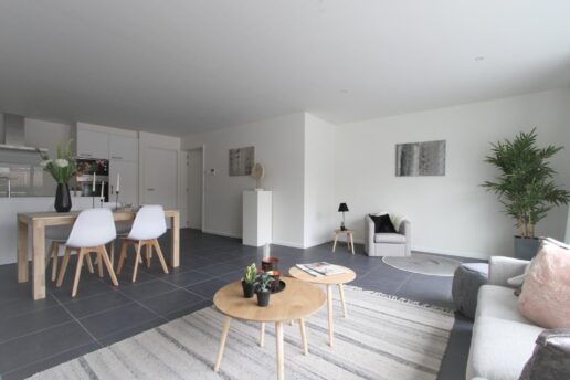 Oudenaarde – project Ginger