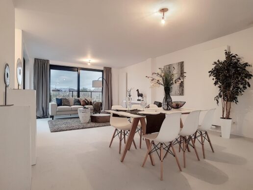 Antwerpen – Desguinlei 230 5de V