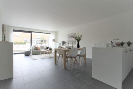 Oudenaarde – project Ginger