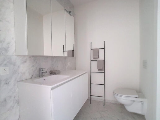 Berchem – Oogstraat 253 – 7.1