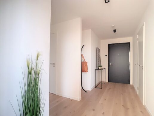 Berchem – Oogstraat 253 – 7.1