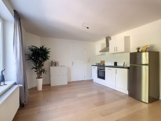 Dilbeek – Ninoofsesteenweg 543 B1