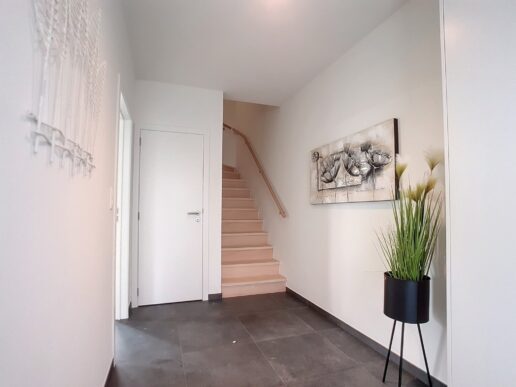 Scheldewindeke – Klaproosstraat 16
