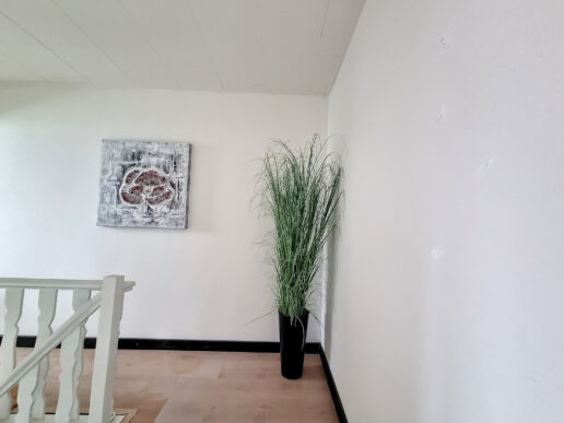 Deinze – Lindenlaan 6