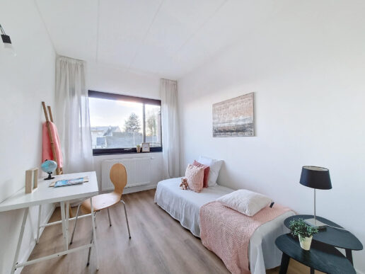 Lessines – Rue Tramasure 12 – 1steV