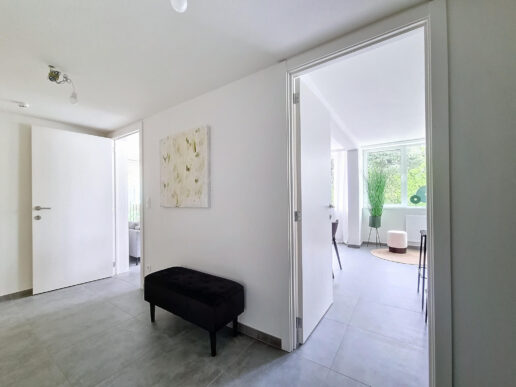 Mol – Boerentang 276 – 2deV