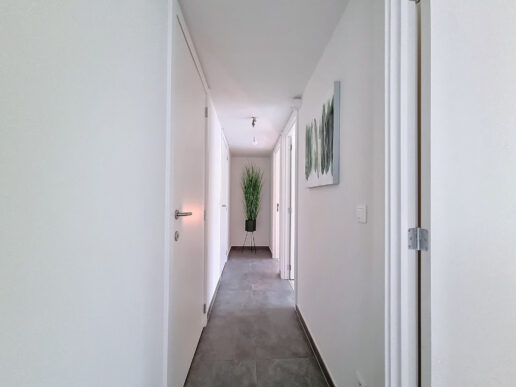 Mol – Boerentang 276 – 2deV